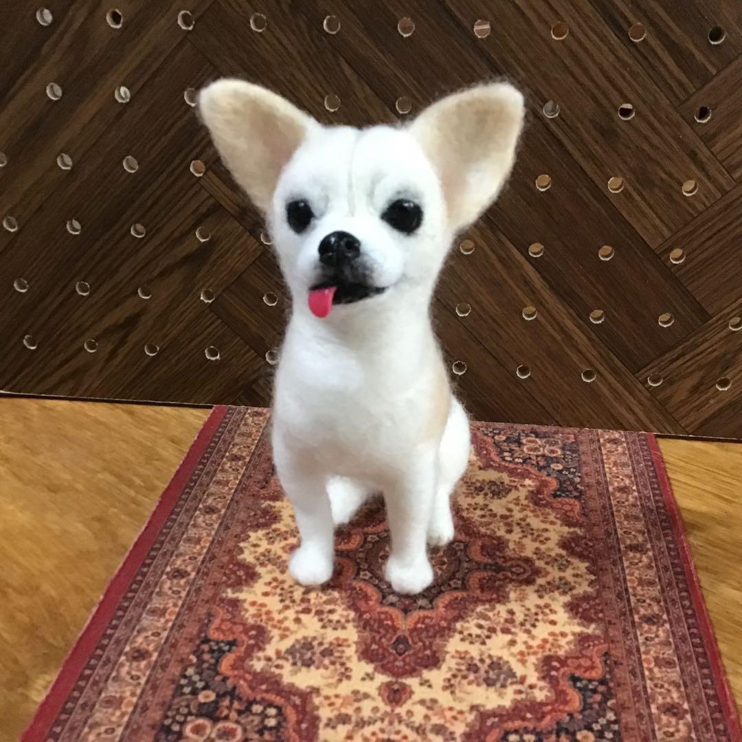 タカ様オーダー品（スムースコートチワワ）