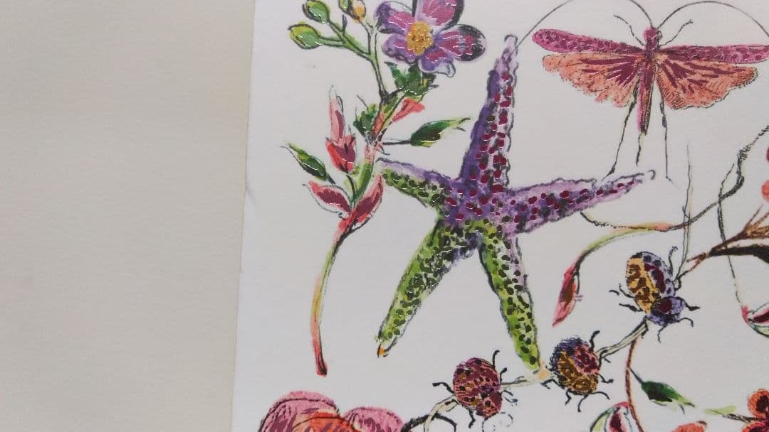 Dior 空箱 限定 特大 ボックス クリスチャン・ディオール ギフトバッグ