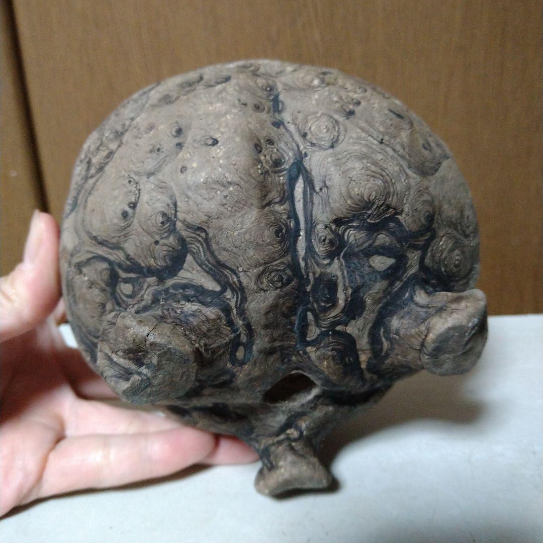 初期 大きめプランツモンスターポット