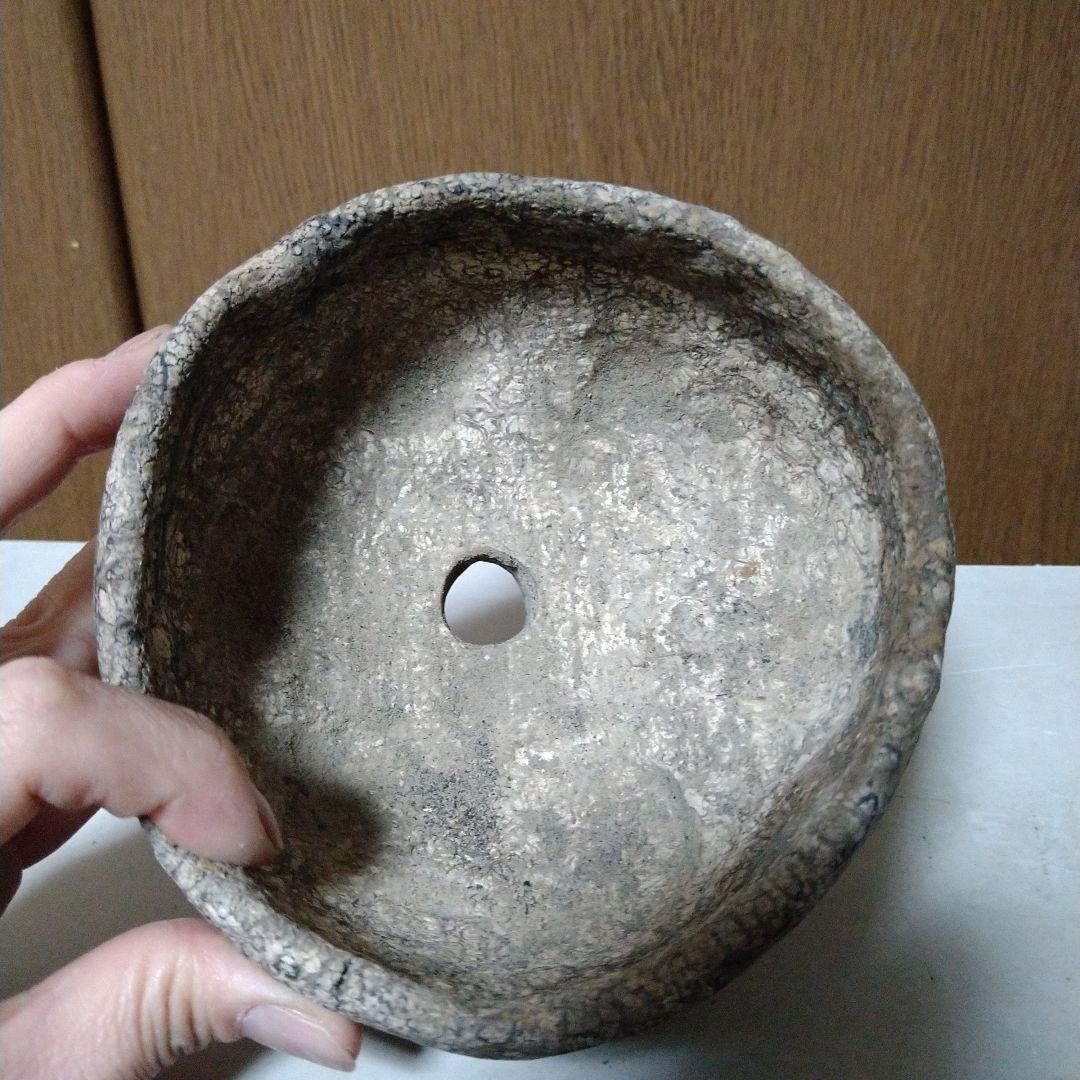 初期 大きめプランツモンスターポット