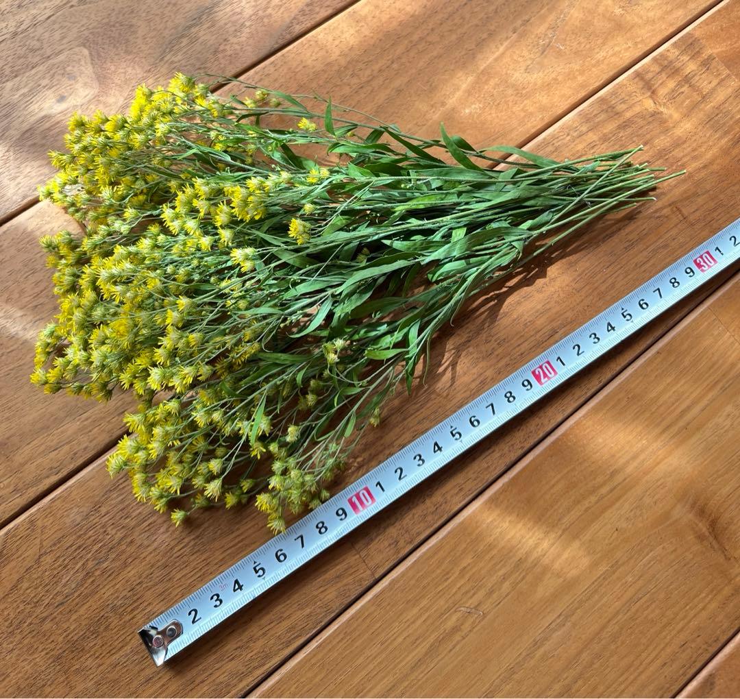 ふわふわkota32♡様　ソリダスター