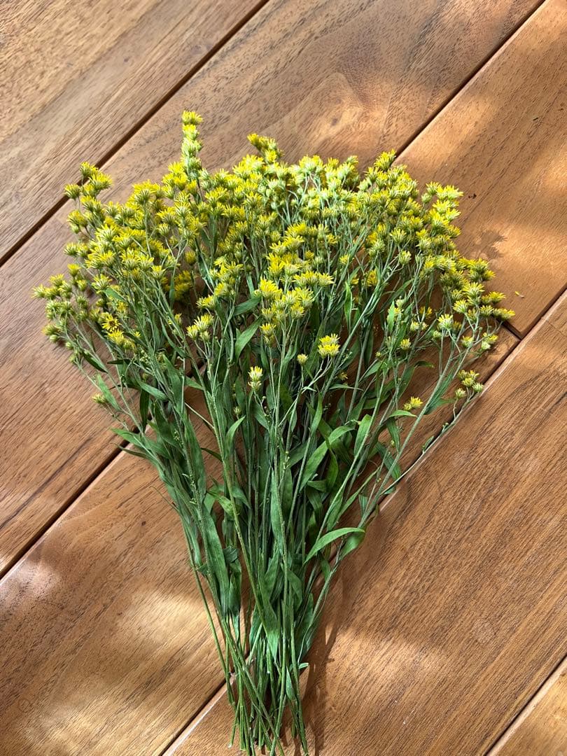 ふわふわkota32♡様　ソリダスター