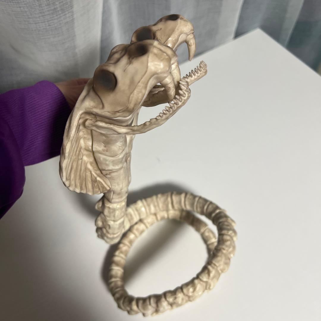 双頭 コブラ 骨格標本 骨 フィギュア ハロウィン - メルカリ
