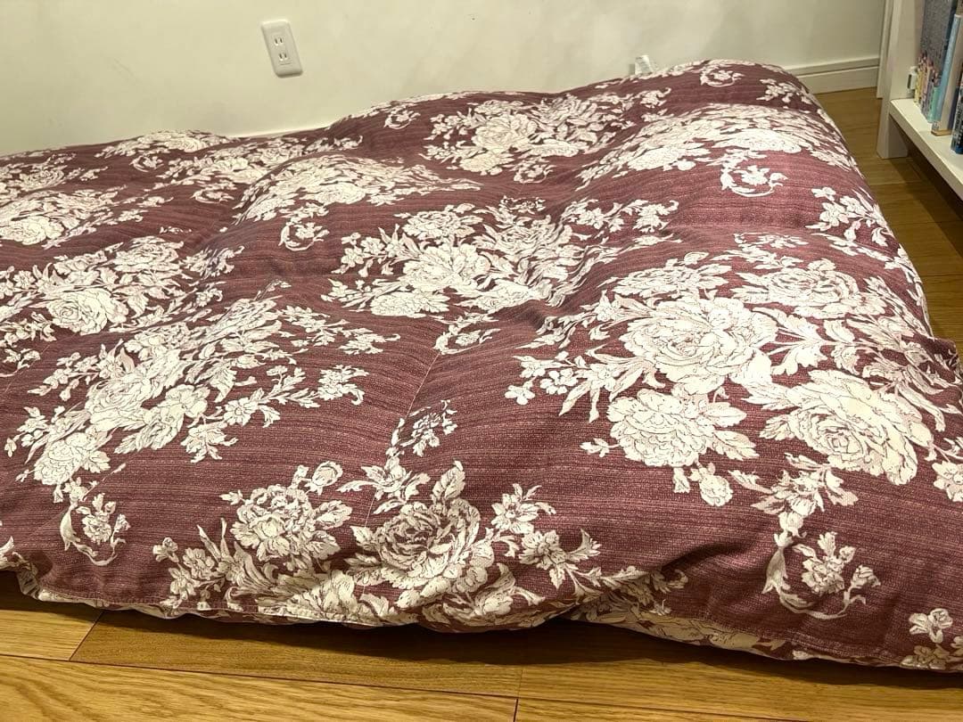 織元 カナダ産 コロニアルグースダウン 95% 超長綿100 ニ層 1.1k