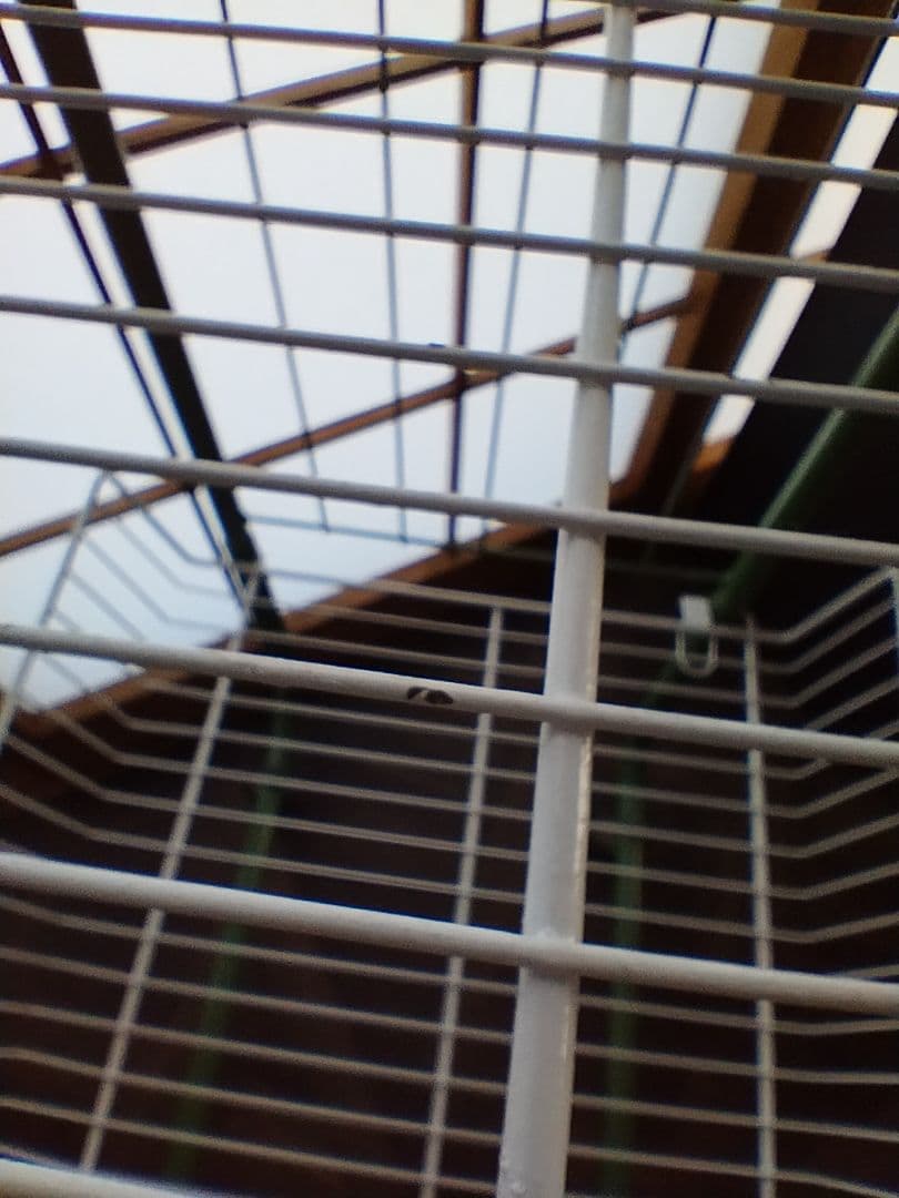 昭和レトロ　ワイヤーワゴン　キャスター付　店舗什器　家具　メタルラック　緑×白