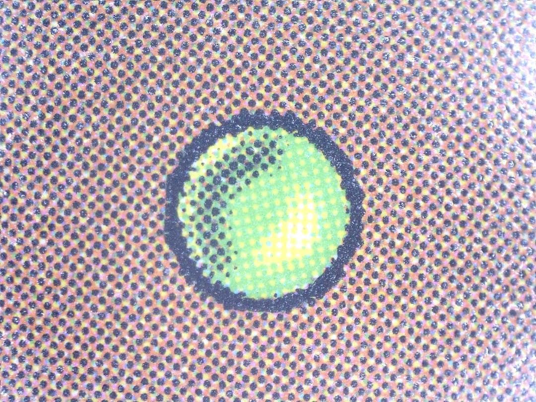 【2XM】意志の力/Force of Will【Foil】2枚セット