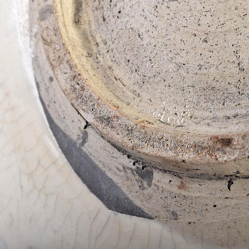 中国 赤絵 魚藻文盤 皿 V R8757 - メルカリ