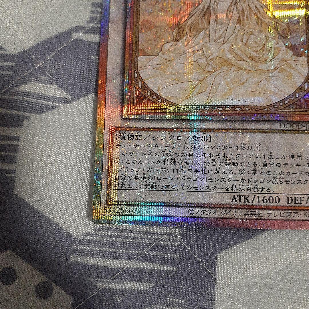 遊戯王　ガーデン・ローズ・メイデン　 プリシク　絵違い