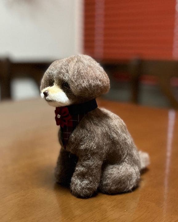 羊毛フェルト　トイプードル　ミックス犬