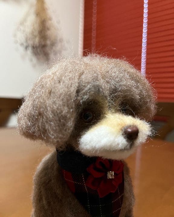 羊毛フェルト　トイプードル　ミックス犬