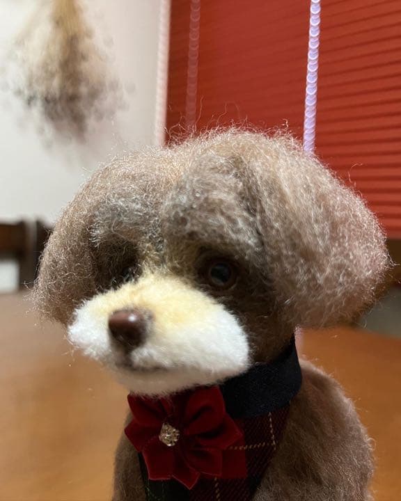 羊毛フェルト　トイプードル　ミックス犬