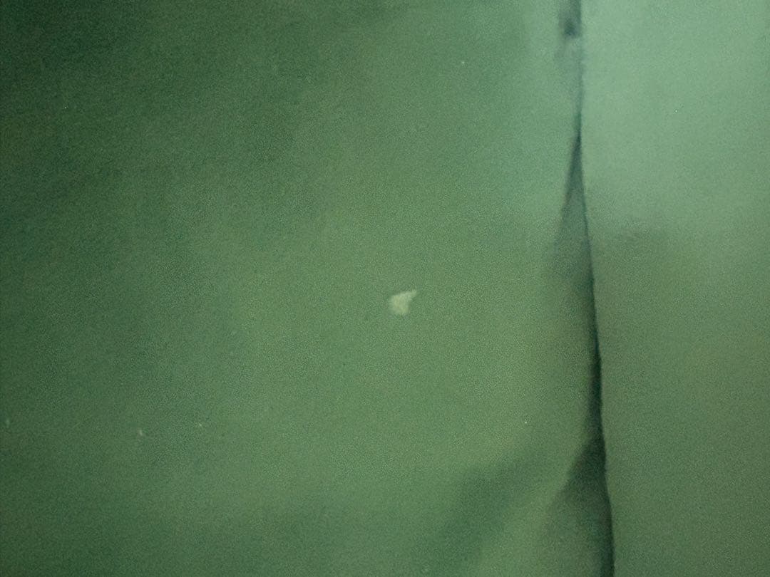 ロウヤ　ソファ　グリーン　ベロア