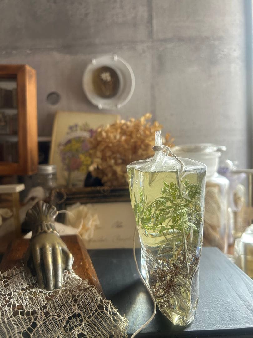 errer 根っこ付き水草 筆記体タグ付き 植物標本 アンティーク 樹脂標本