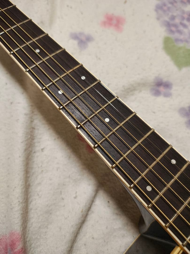 16日まで価格！日本製 極虎Apple ACW-4BS/エレアコ - メルカリ