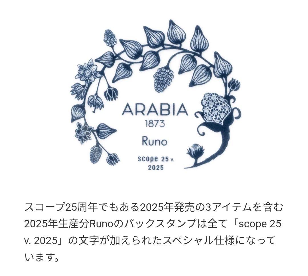 限定ロゴ スコープ25周年 2枚 フロストベリー オーバルプレート 25cm