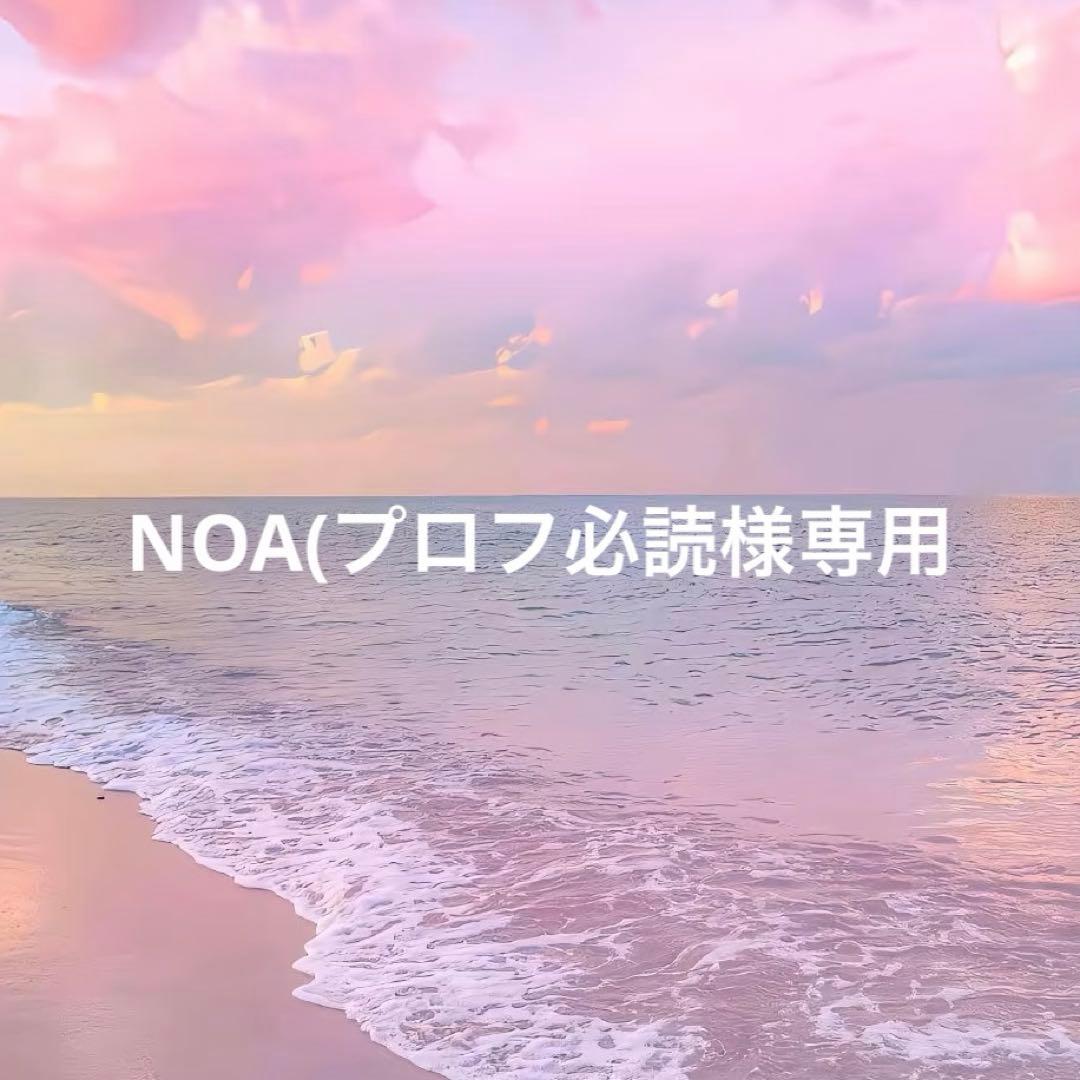 seventeen エスクプス miniteen チェチェリー ぬいぐるみ - メルカリ