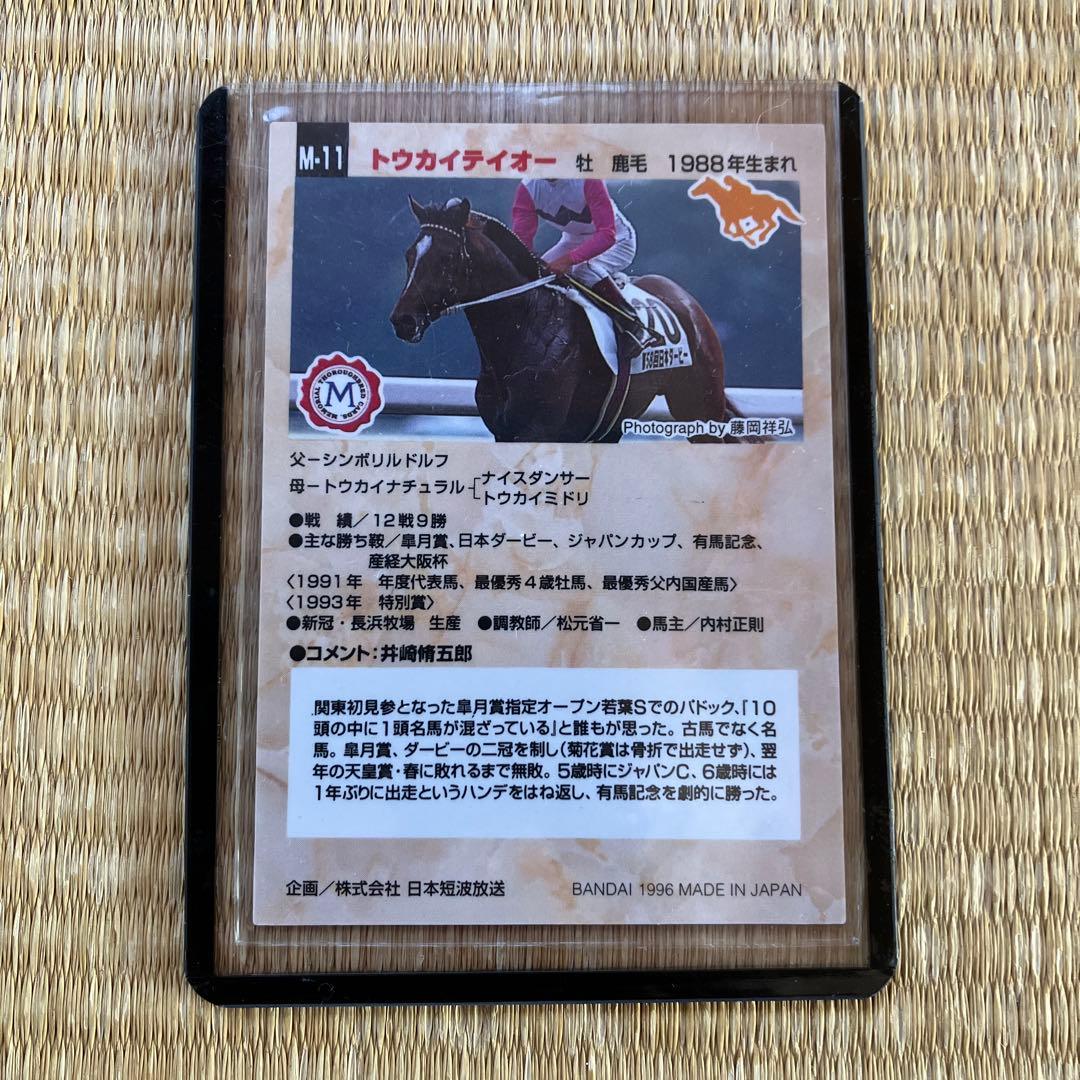 バンダイ サラブレッドカード トウカイテイオー メモリアルカード 95年