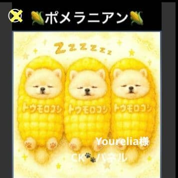 ハンドメイド　オーダー受付ページ　　♡お野菜　わんこ　パネル♡