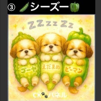 ハンドメイド　オーダー受付ページ　　♡お野菜　わんこ　パネル♡