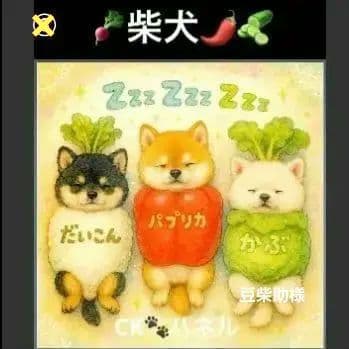 ハンドメイド　オーダー受付ページ　　♡お野菜　わんこ　パネル♡