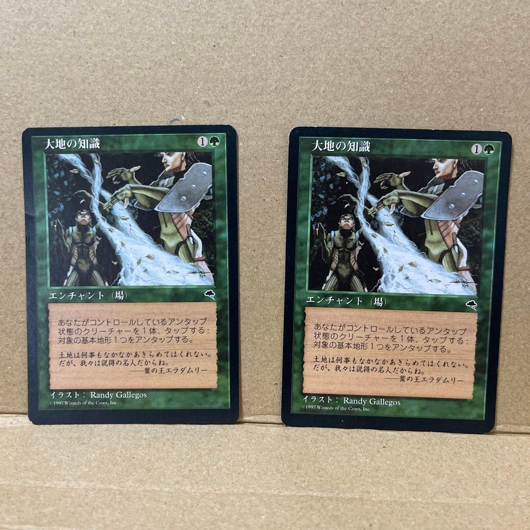 マジックザギャザリング　大地の知識(日本語) ２枚セット