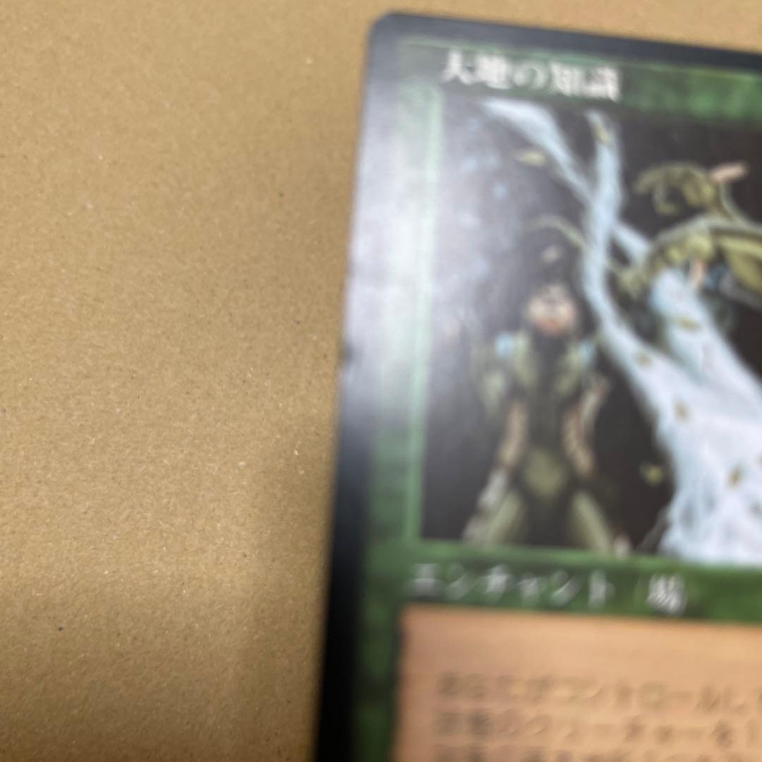 マジックザギャザリング　大地の知識(日本語) ２枚セット