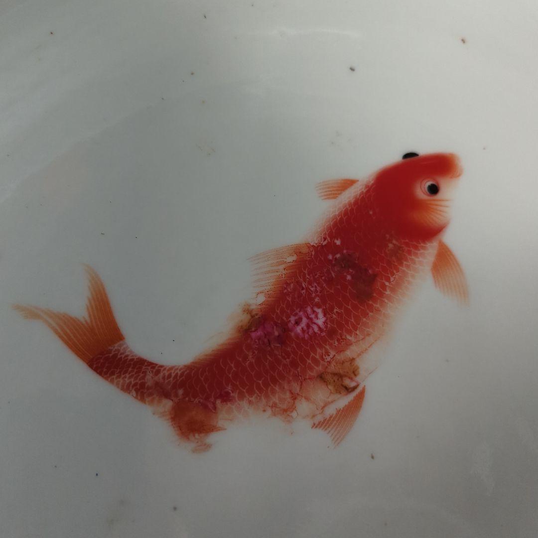 台付　 睡蓮鉢　鯉模様　ほか