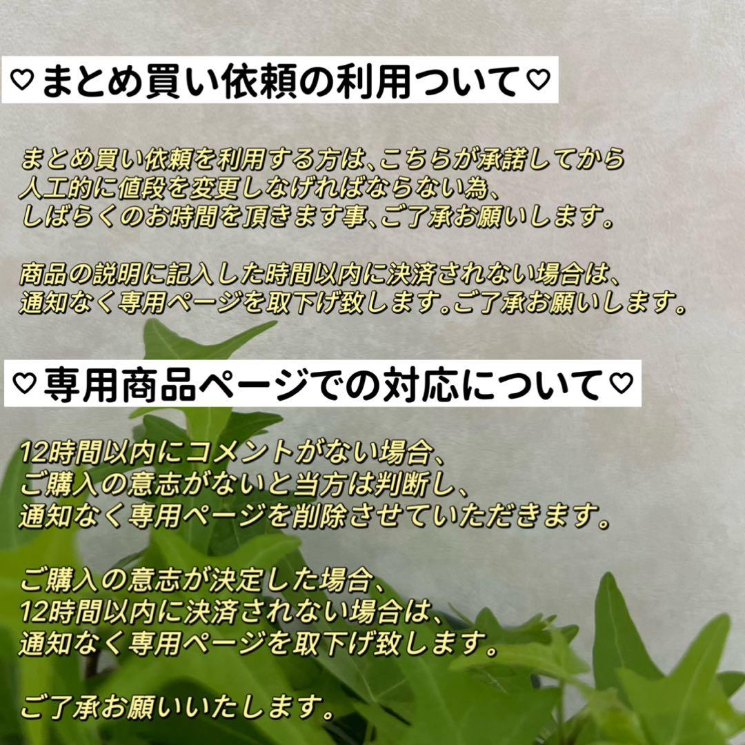 おでこ様 リクエスト 3点 まとめ商品