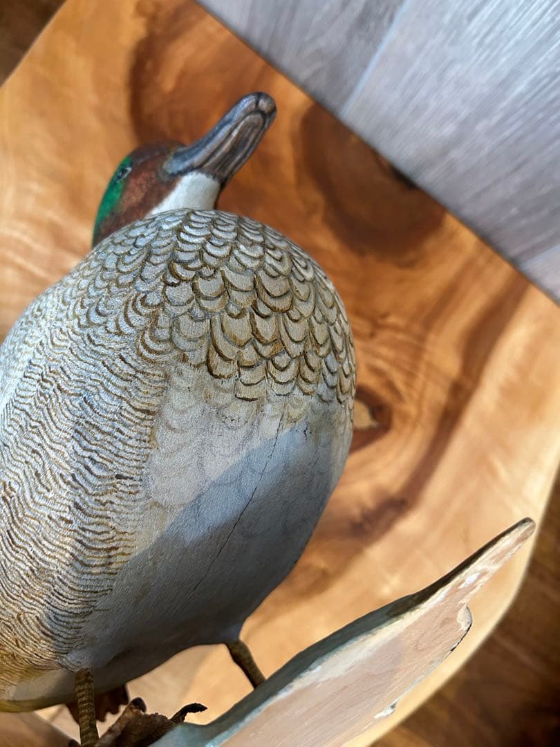 バードカービング ヨシガモ 鴨 野鳥 （複数購入お値引き可）