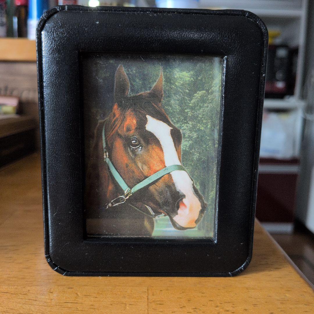 サイレンススズカ メモリアル腕時計 シリアルNo.付き箱入 - メルカリ