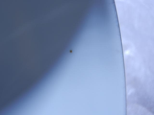 オールドノリタケ トリオ タージマハルイメージ 蜃気楼 置き場管理 001