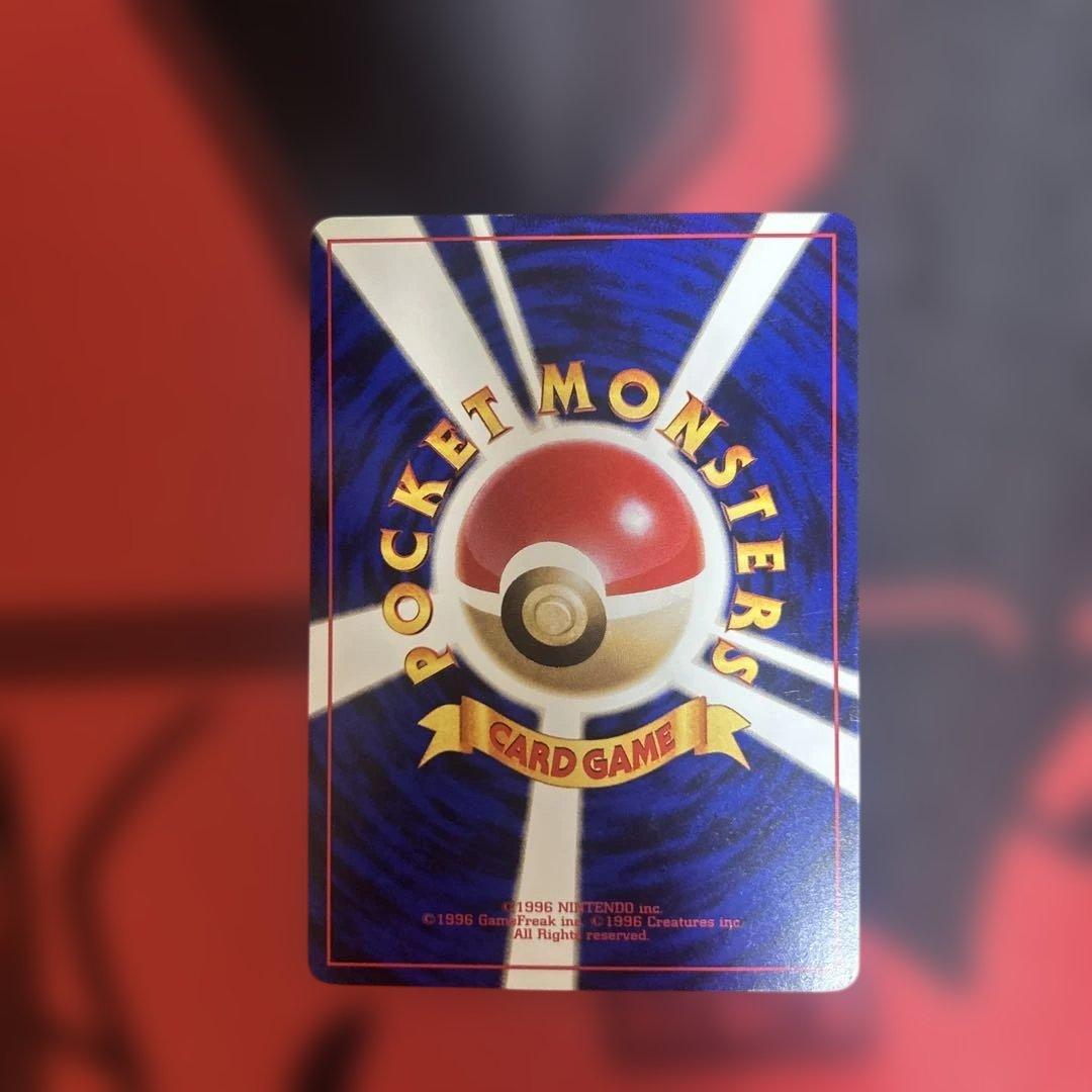 ライチュウ イントロパック