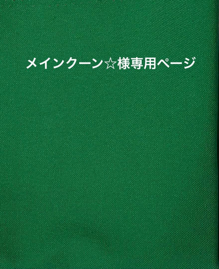 メインクーン☆様ご確認用