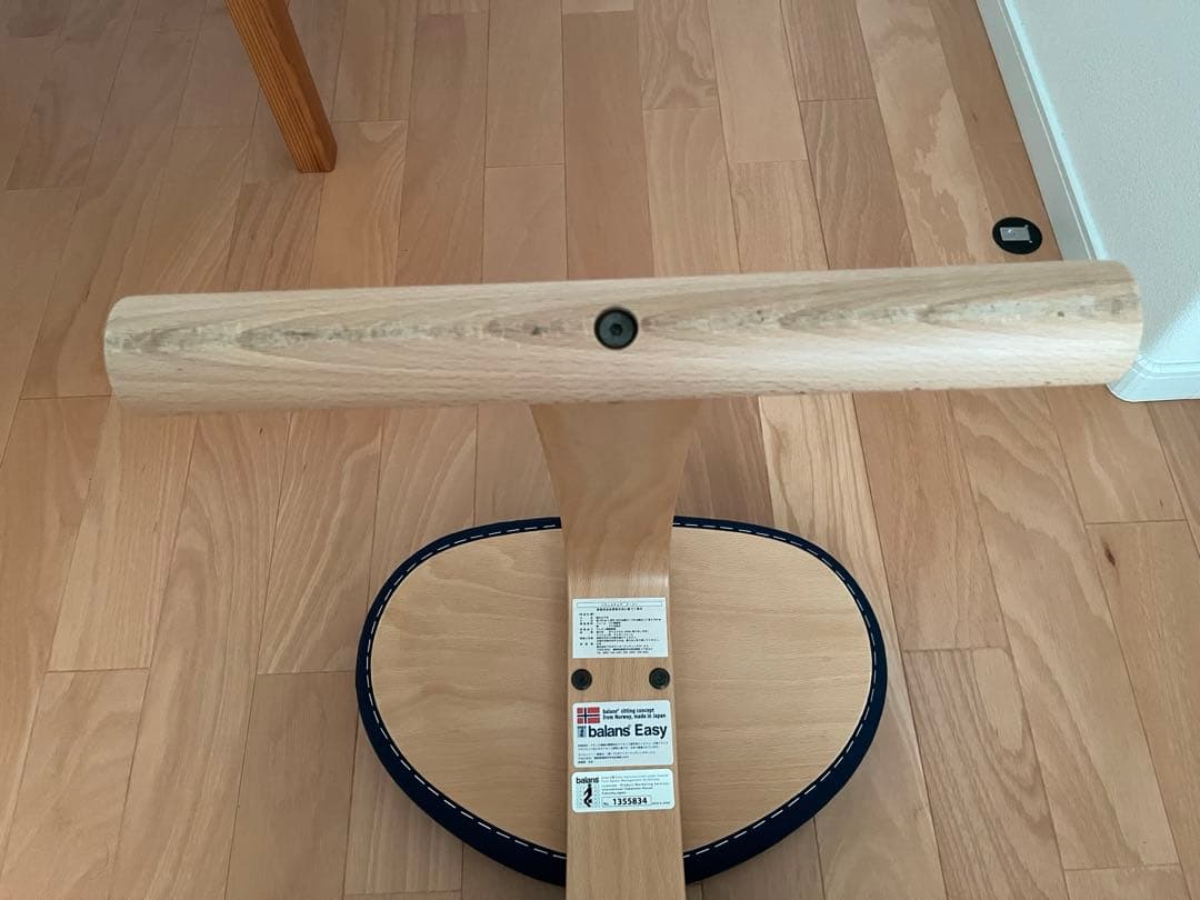 サカモト　バランスイージー バランスチェア 姿勢改善　Rybo リボ社