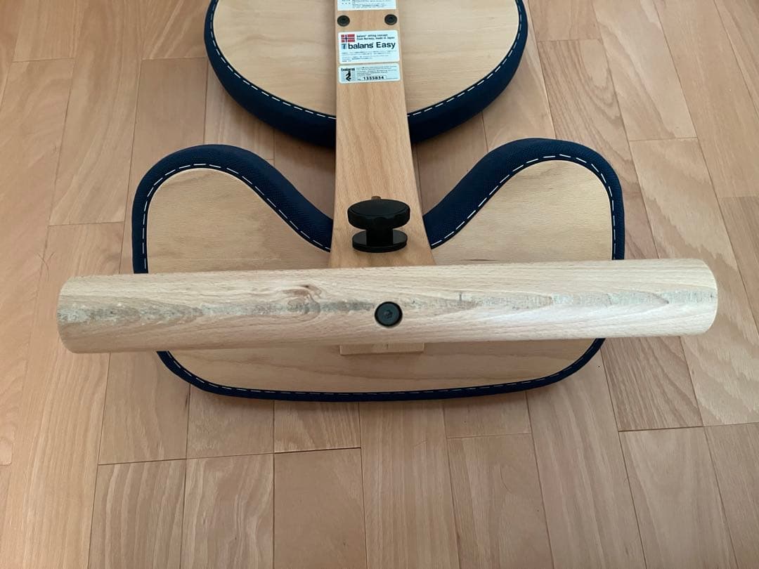 サカモト　バランスイージー バランスチェア 姿勢改善　Rybo リボ社