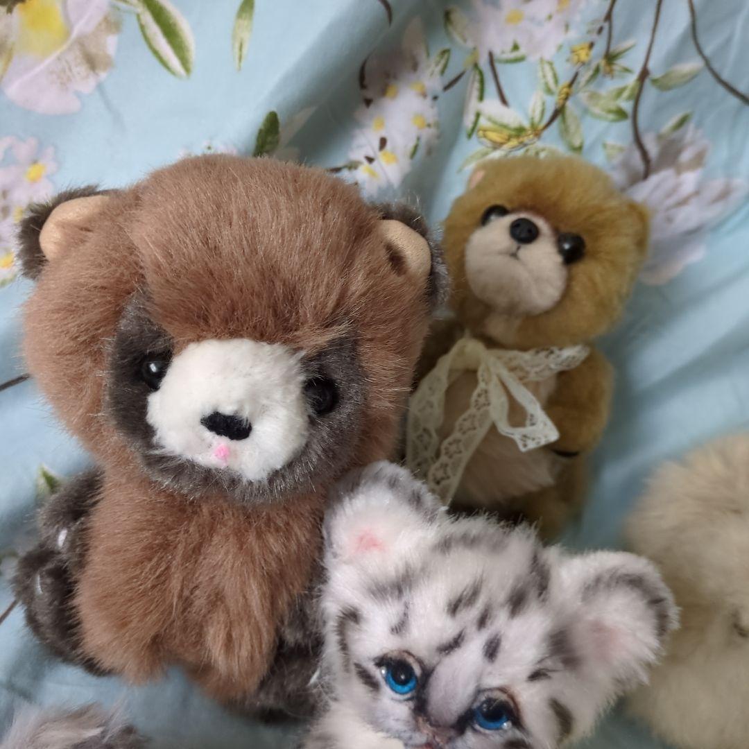 たぬき ホワイトタイガー アザラシ アートドール 作家 ハンドメイド