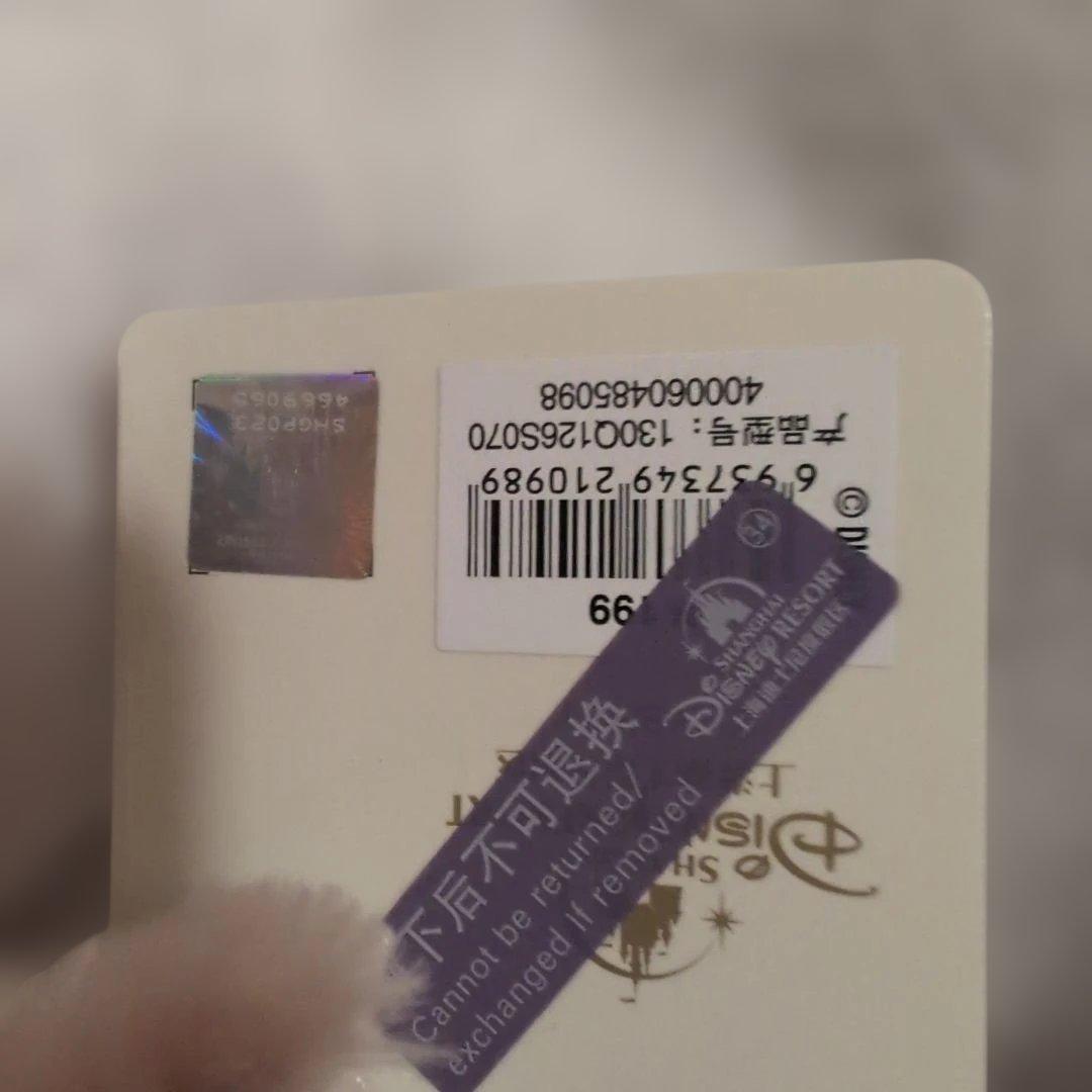 上海ディズニー リーナベルぬいぐるみSSとキーチェーンセット‼️