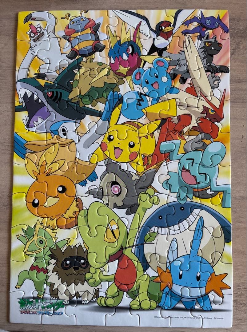 ポケットモンスター アドバンスジェネレーション ジグソーパズル 70