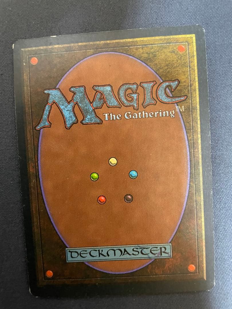 mtg Isola Tropicale 2 Taiga 1 繰り返す悪夢 1