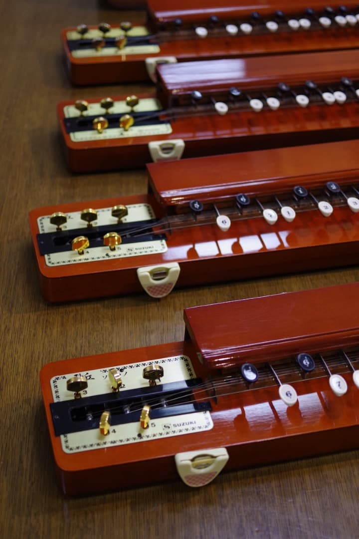スズキ大正琴「砂丘」4本（ソフトケース付）