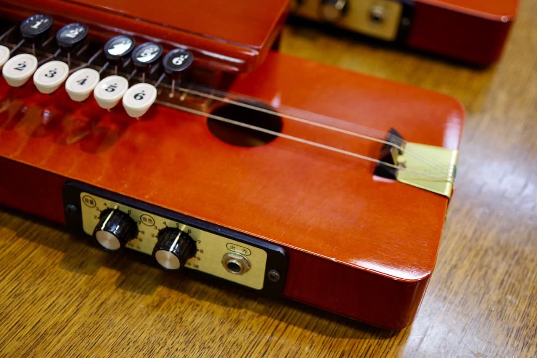 スズキ大正琴「砂丘」4本（ソフトケース付）