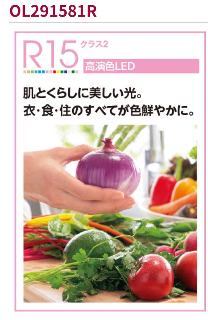 ODELIC OL291 581R シーリングライト