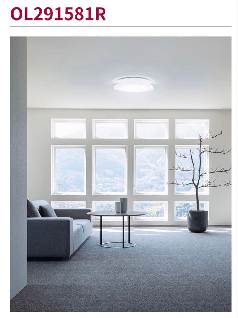 ODELIC OL291 581R シーリングライト