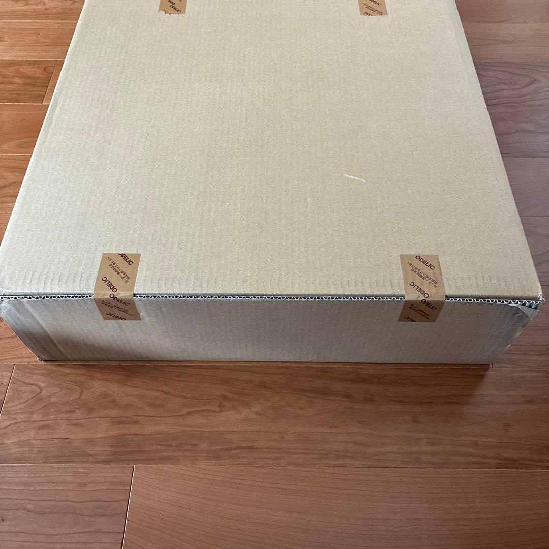 ODELIC OL291 581R シーリングライト