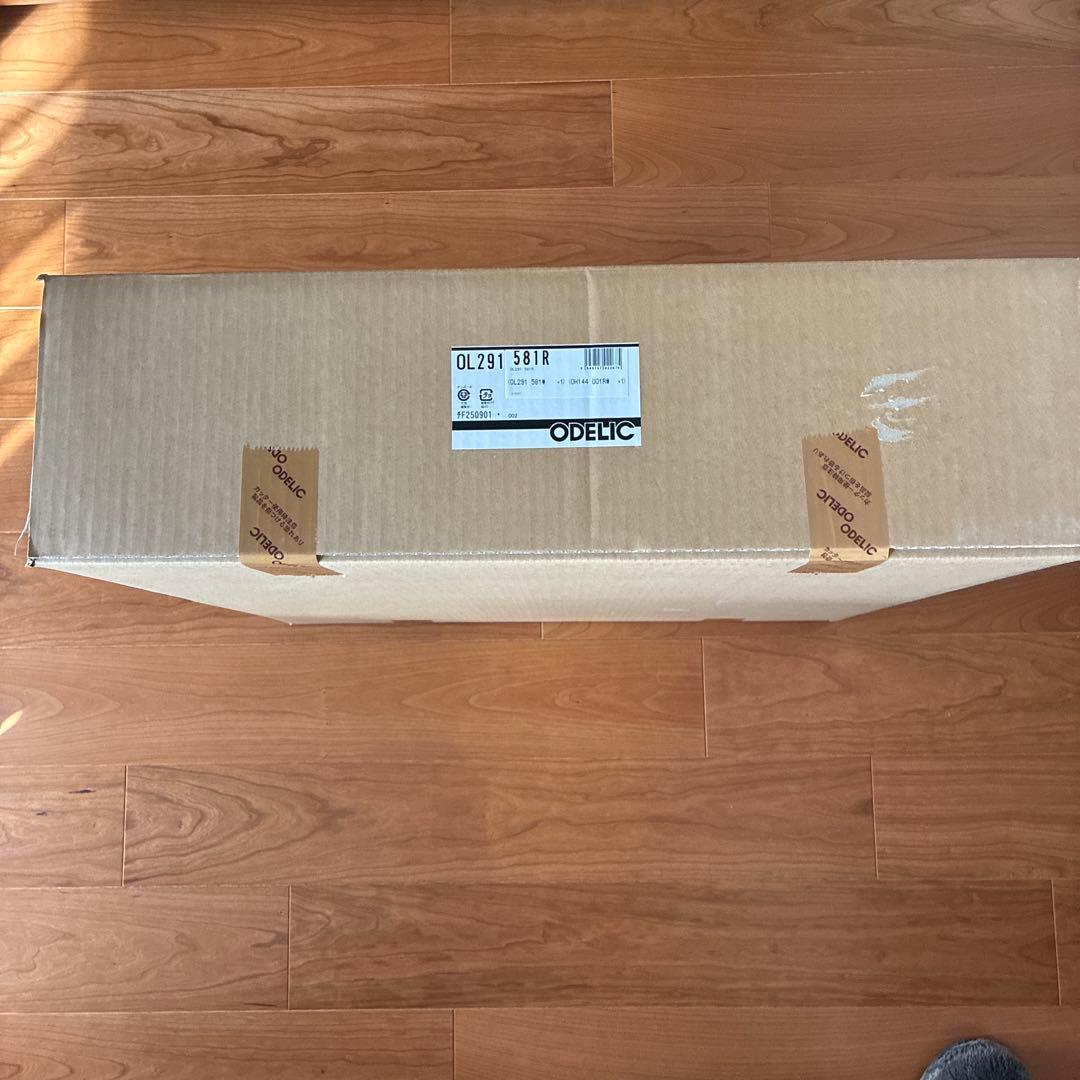 ODELIC OL291 581R シーリングライト