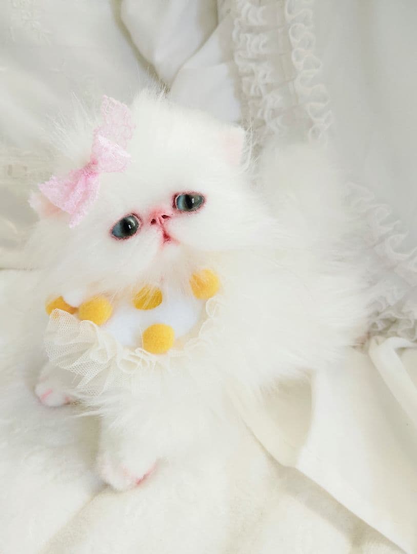 まなあきちゃん御予約❤️生後3ヶ月♡天使みたいな♡子猫ちゃん♡アートドール♡