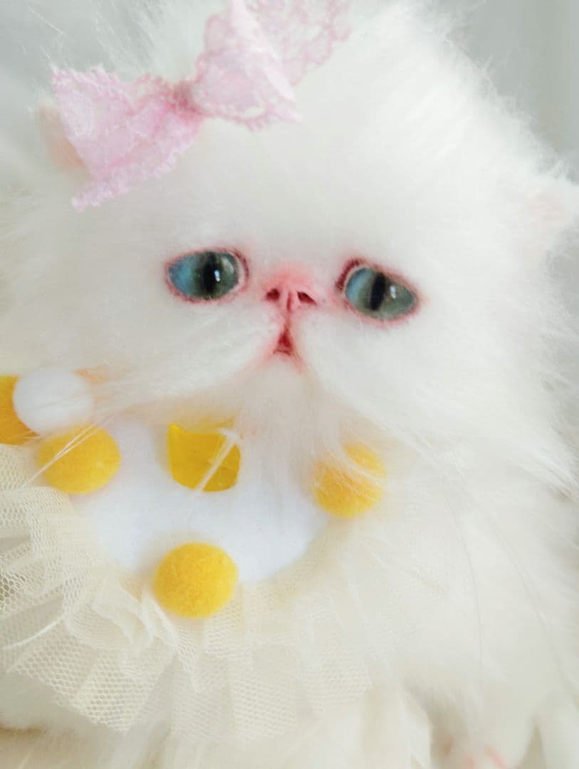 まなあきちゃん御予約❤️生後3ヶ月♡天使みたいな♡子猫ちゃん♡アートドール♡