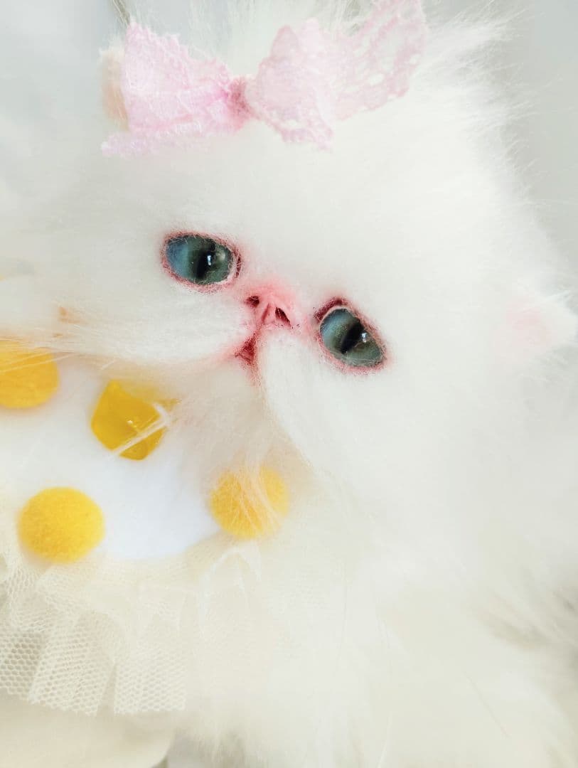 まなあきちゃん御予約❤️生後3ヶ月♡天使みたいな♡子猫ちゃん♡アートドール♡