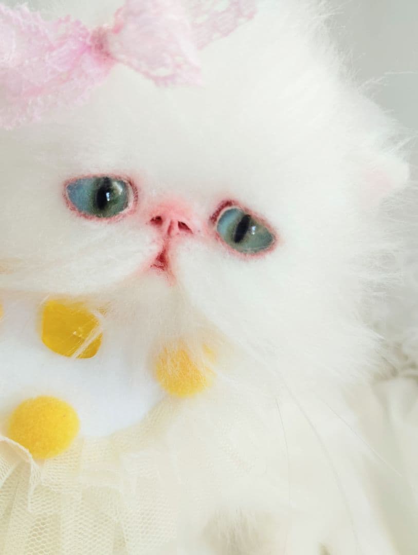 まなあきちゃん御予約❤️生後3ヶ月♡天使みたいな♡子猫ちゃん♡アートドール♡