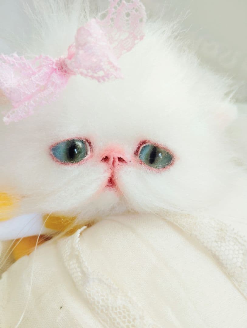 まなあきちゃん御予約❤️生後3ヶ月♡天使みたいな♡子猫ちゃん♡アートドール♡